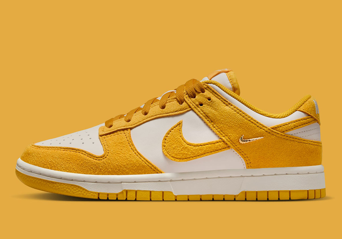 Nike Dunk Low Mini Swoosh Ib4417 101 1