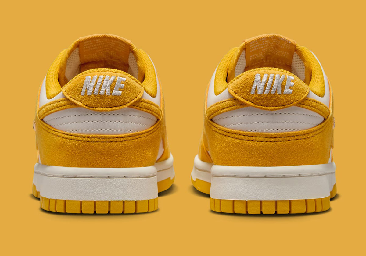 Nike Dunk Low Mini Swoosh Ib4417 101 2
