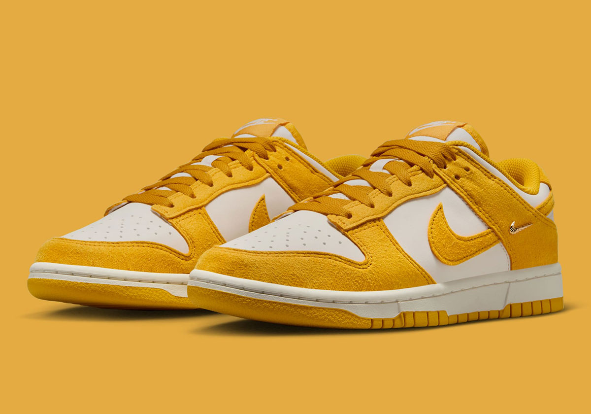 Nike Dunk Low Mini Swoosh Ib4417 101 5