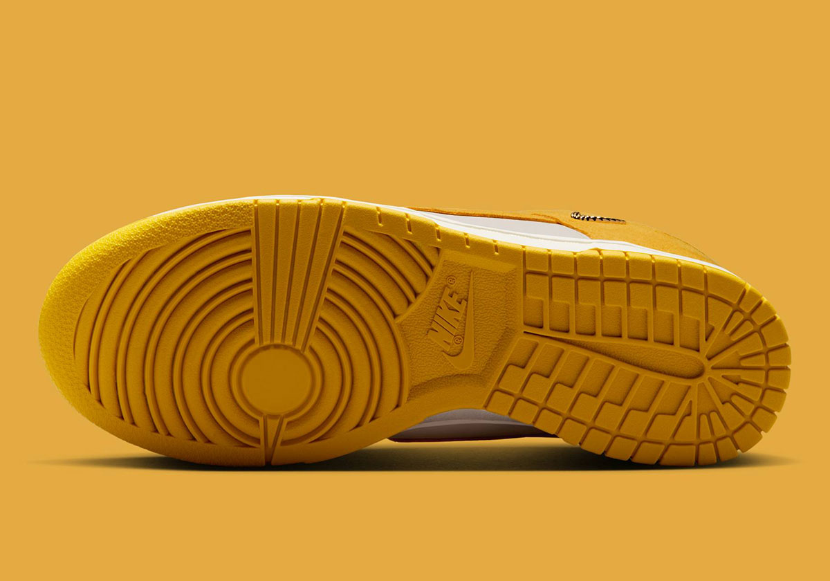 Nike Dunk Low Mini Swoosh Ib4417 101 8