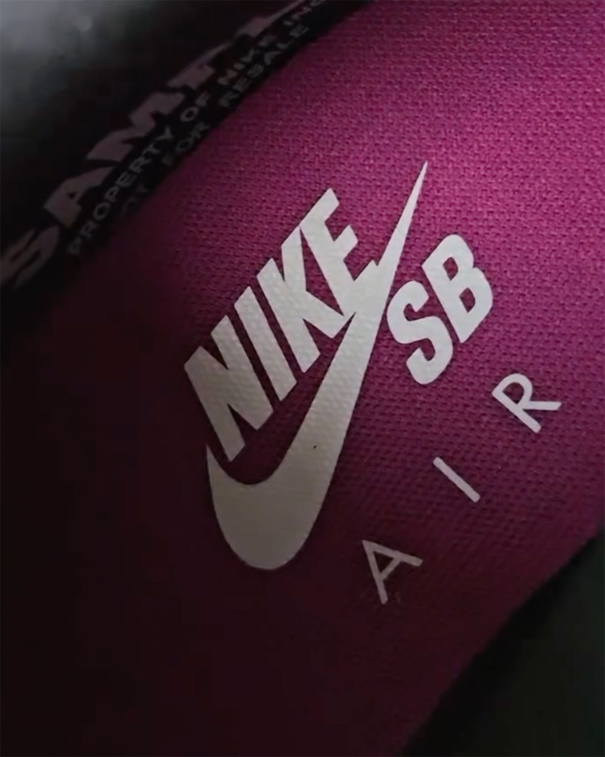 Nike Sb Air Max 95 Cactus Flower Hf7545 100 2 2d695d