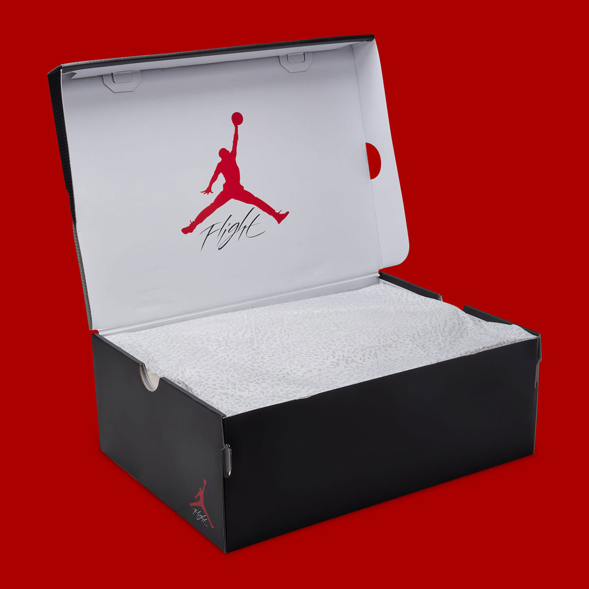 Rare Air Jordan 3s Release Date 6