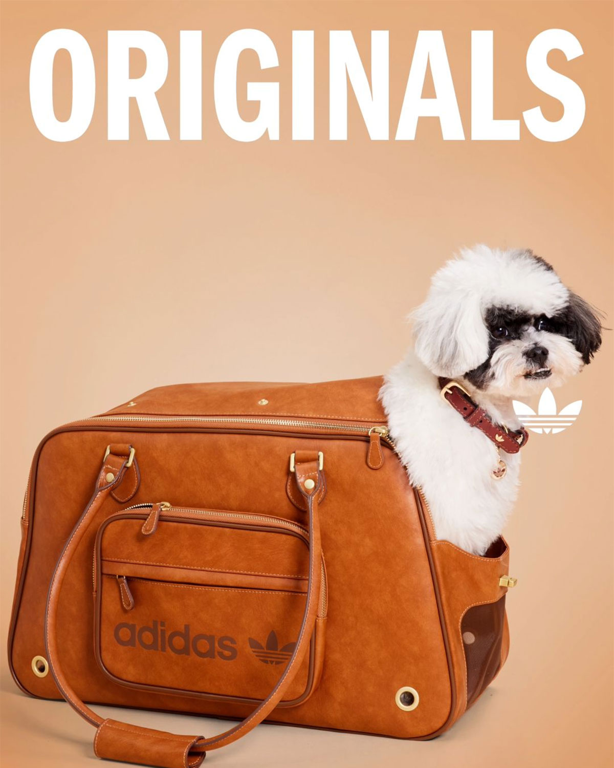 Adidas Originals Pets Collection 1