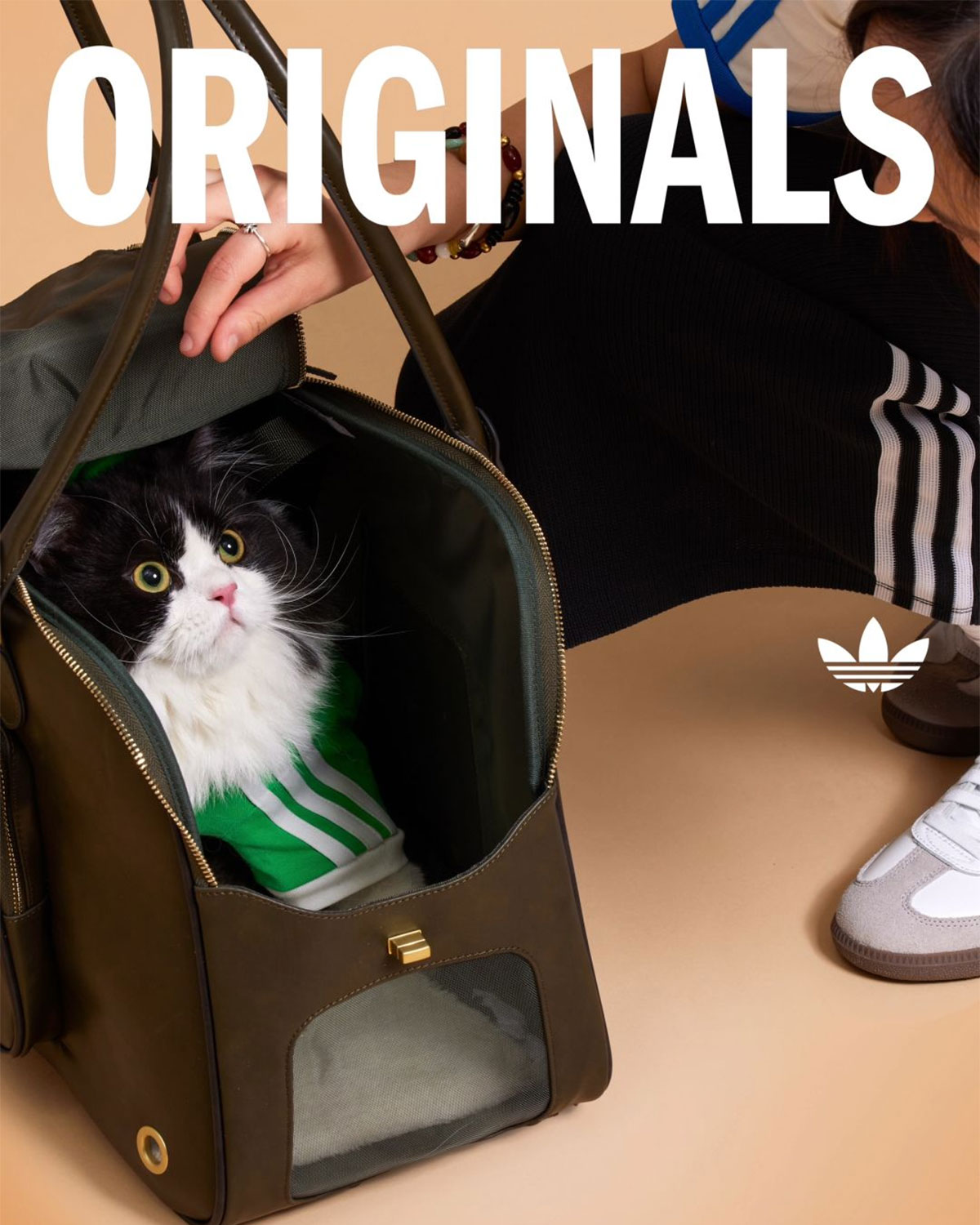 Adidas Originals Pets Collection 13