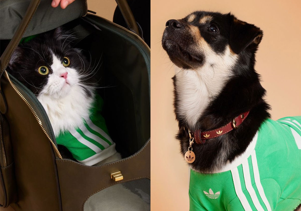 adidas Originals Is Dropping Apparel And Accessories For Pets