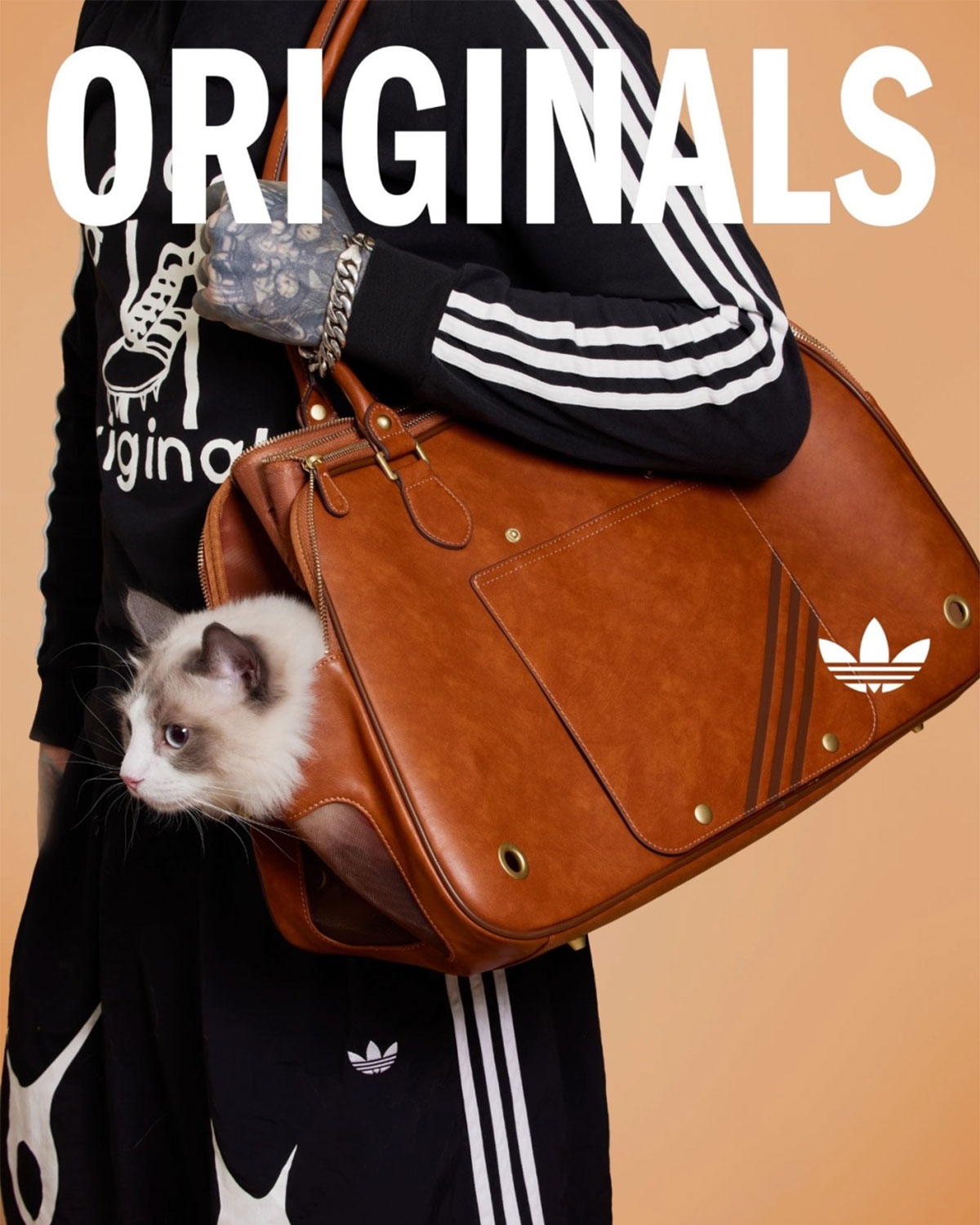 Adidas Originals Pets Collection 15