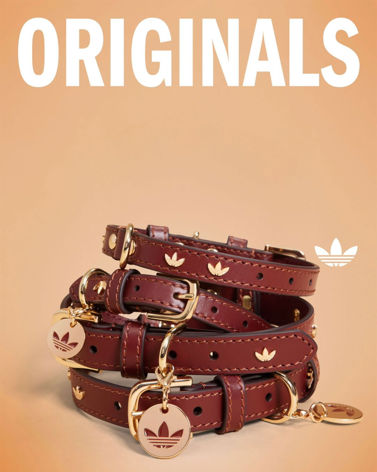 Adidas Originals Pets Collection 16