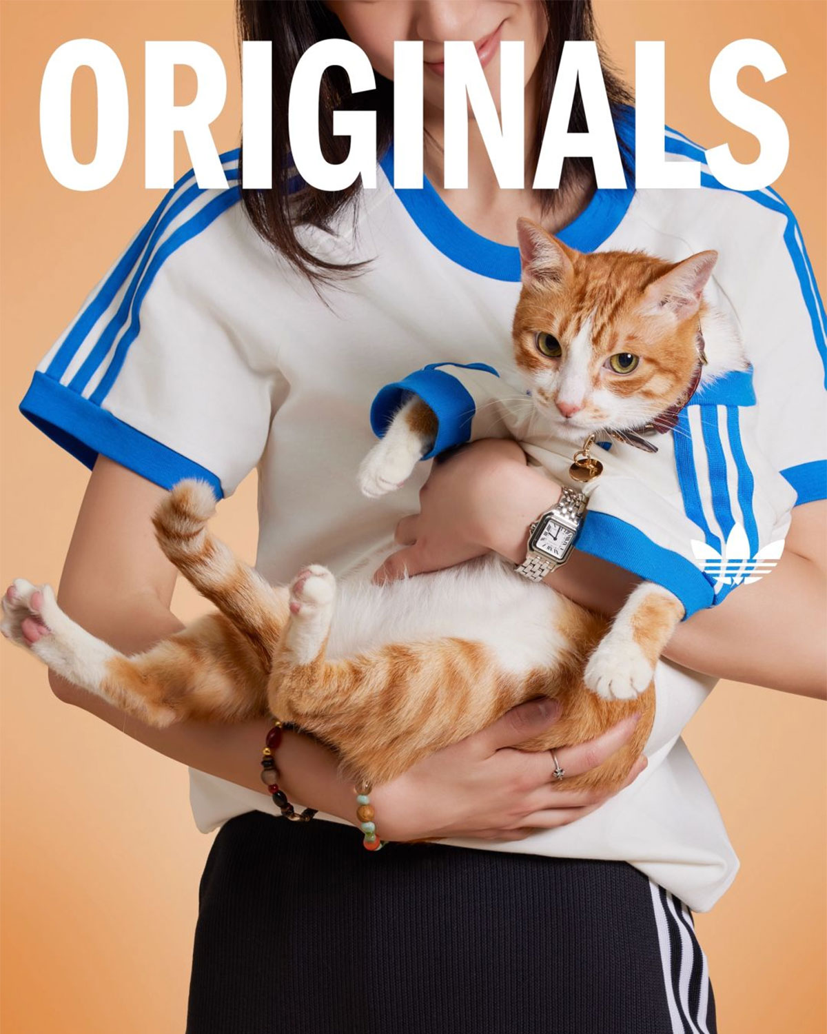 Adidas Originals Pets Collection 6
