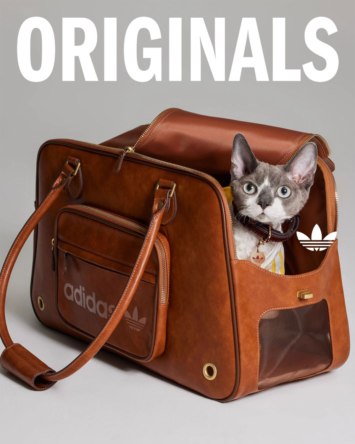 Adidas Originals Pets Collection 8