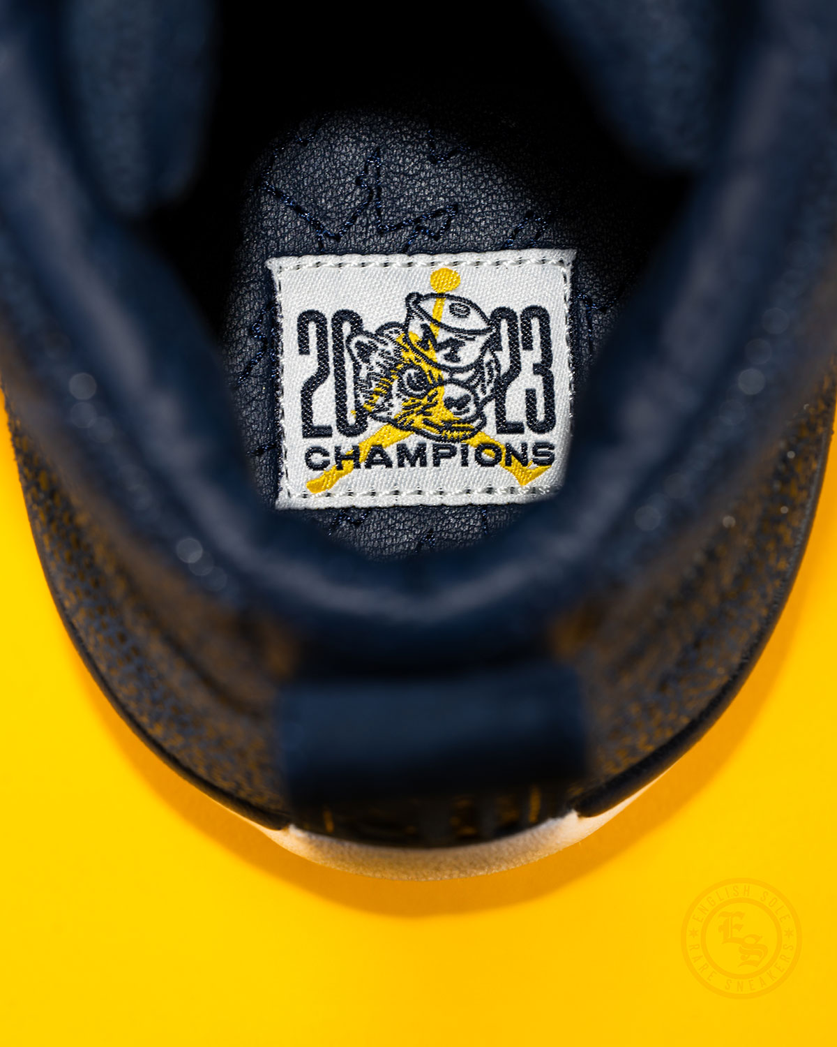 Air Jordan 12 Michigan Pe 2023 2024 Champions 13