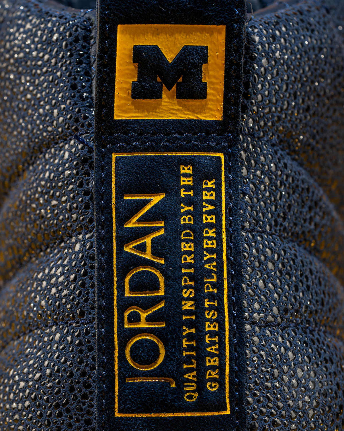 Air Jordan 12 Michigan Pe 2023 2024 Champions 8
