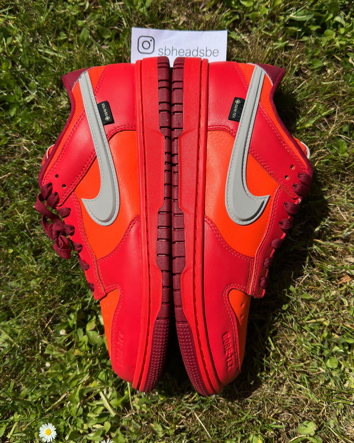 Nike Dunk Low Gore Tex Light Crimson Light Iron Ore Total Crimson 1