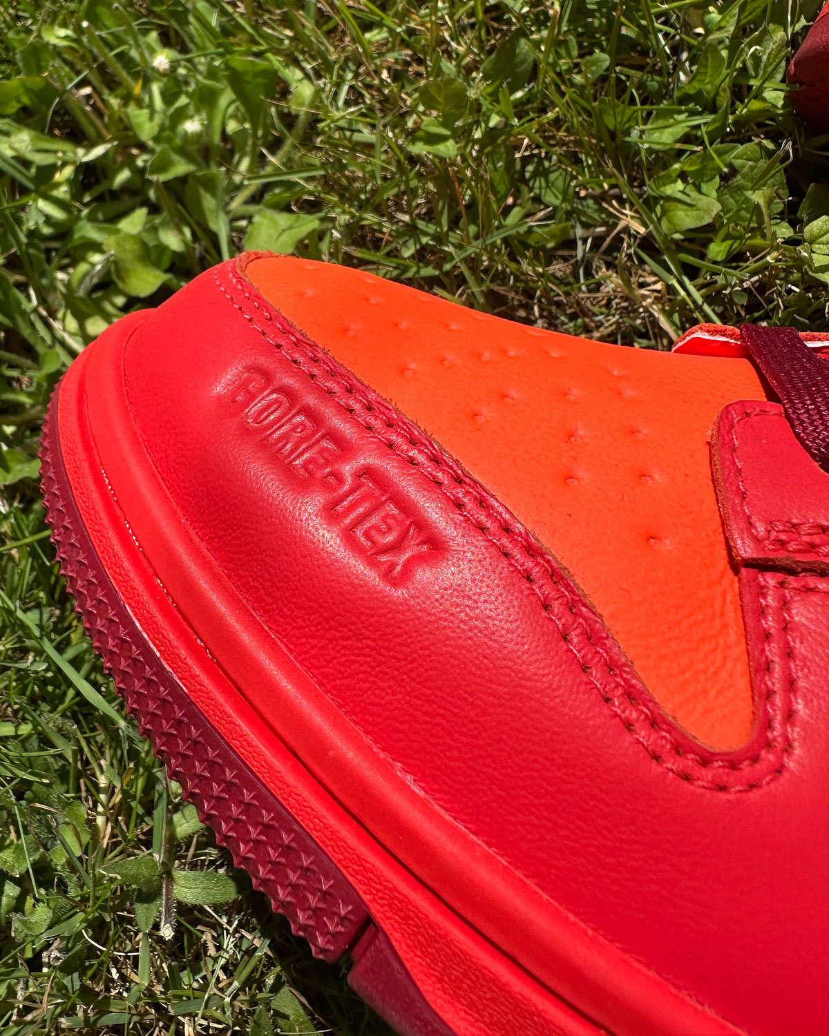 Nike Dunk Low Gore Tex Light Crimson Light Iron Ore Total Crimson 2