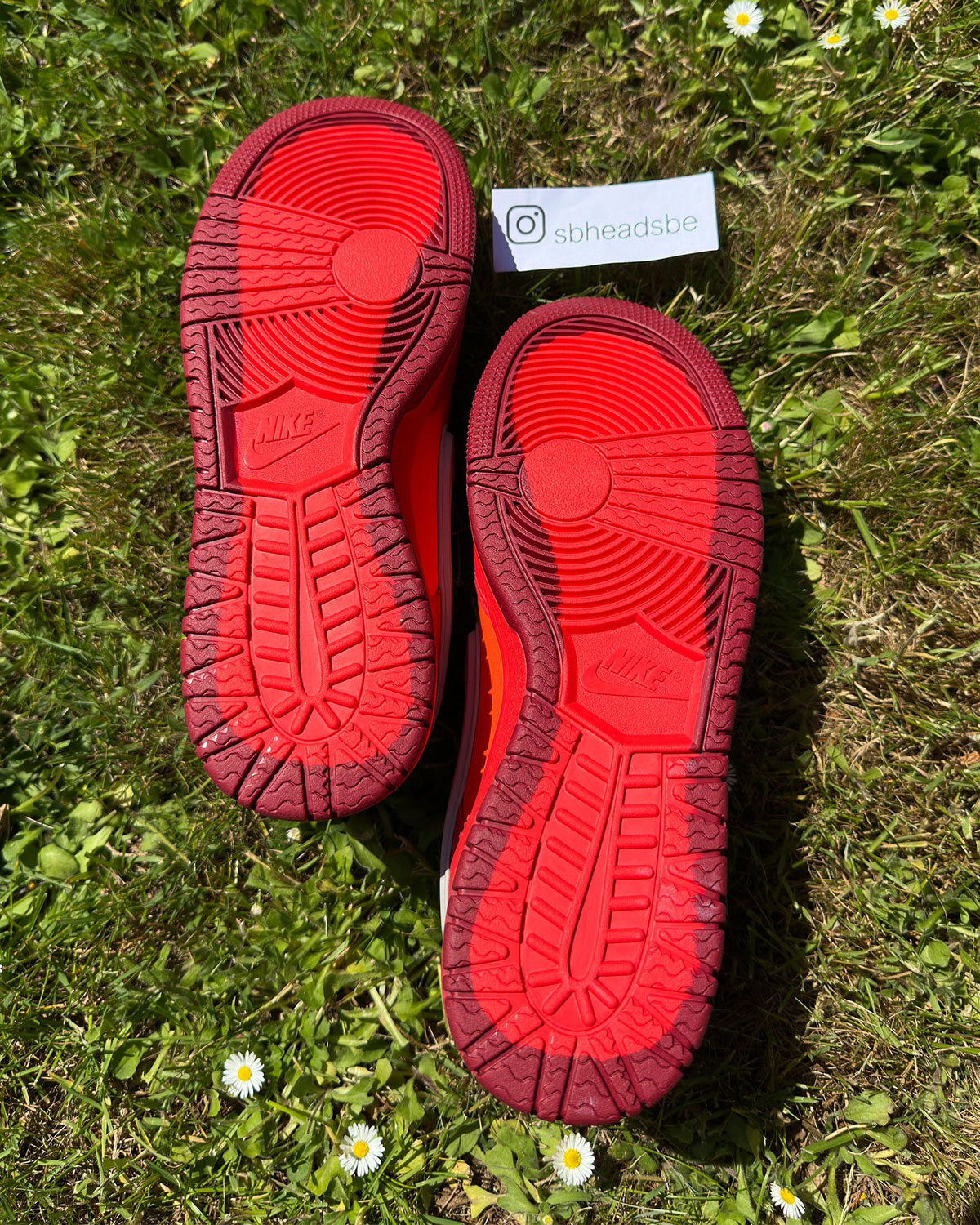 Nike Dunk Low Gore Tex Light Crimson Light Iron Ore Total Crimson 3