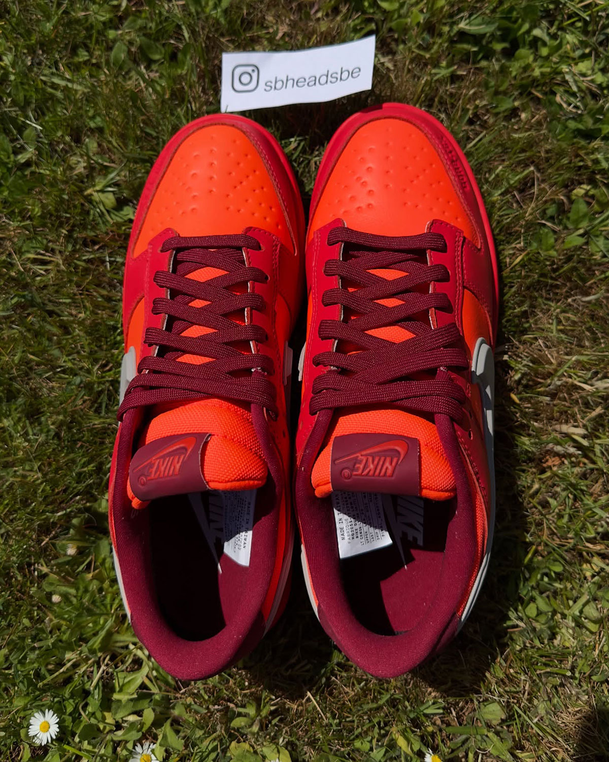 Nike Dunk Low Gore Tex Light Crimson Light Iron Ore Total Crimson 5