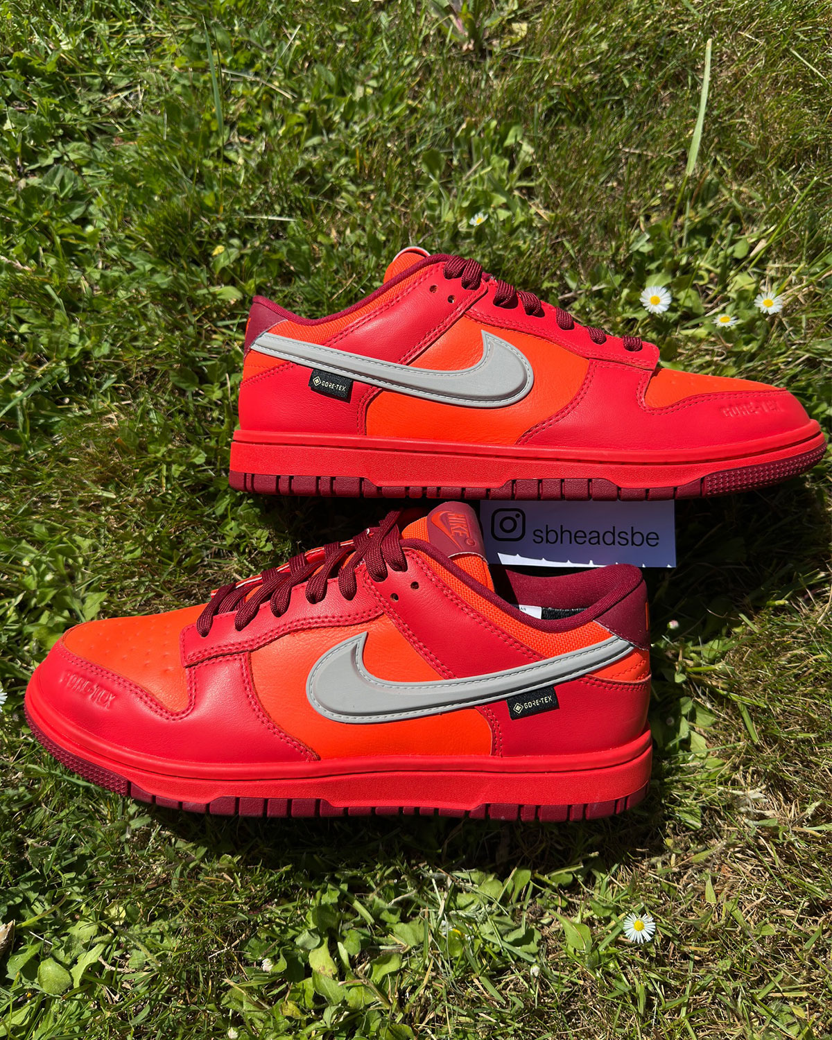 Nike Dunk Low Gore Tex Light Crimson Light Iron Ore Total Crimson 6
