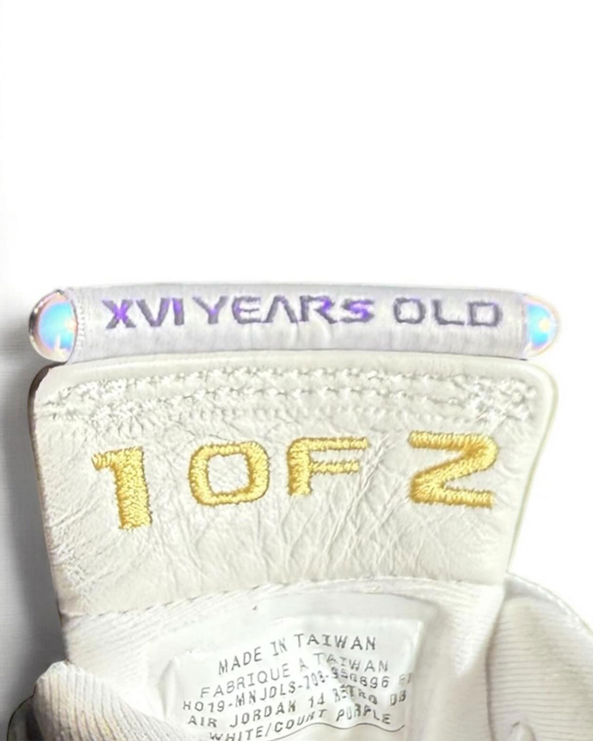 Air Jordan 14 Doernbecher Whiteout Unreleased Sample 4