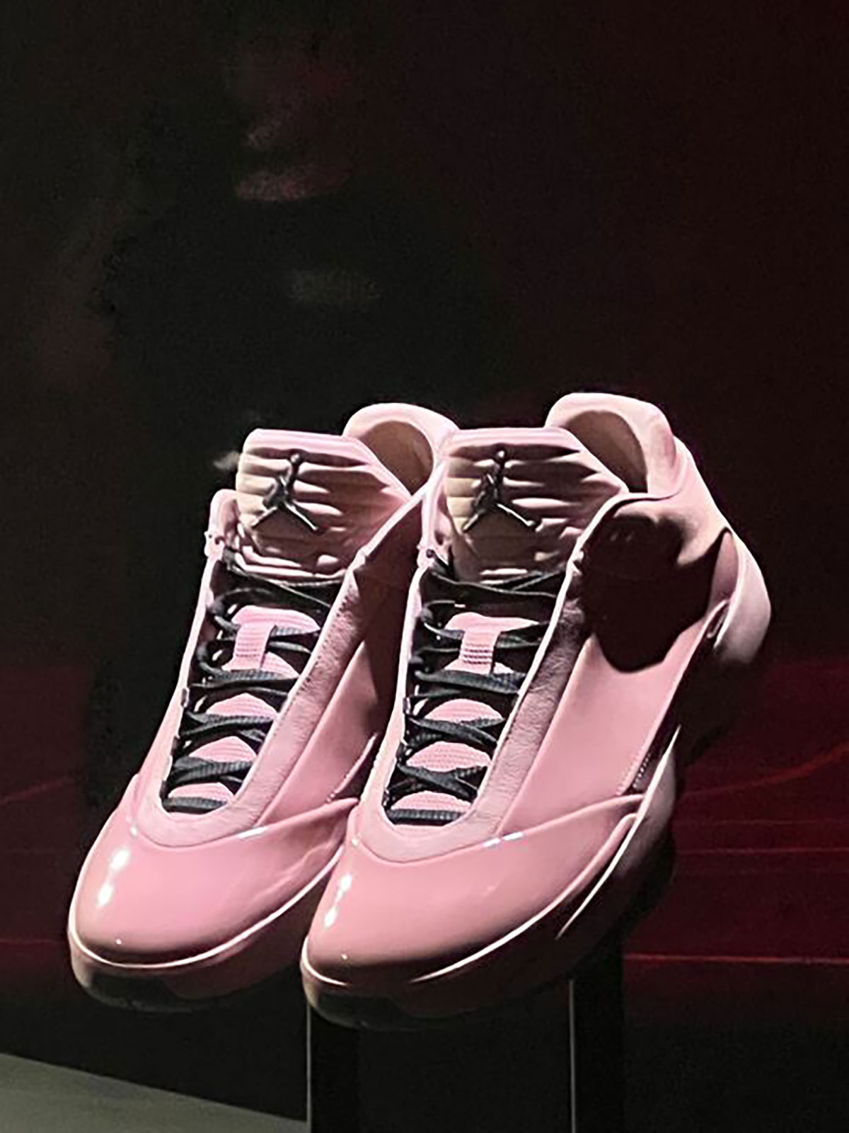 Air Jordan 40 13