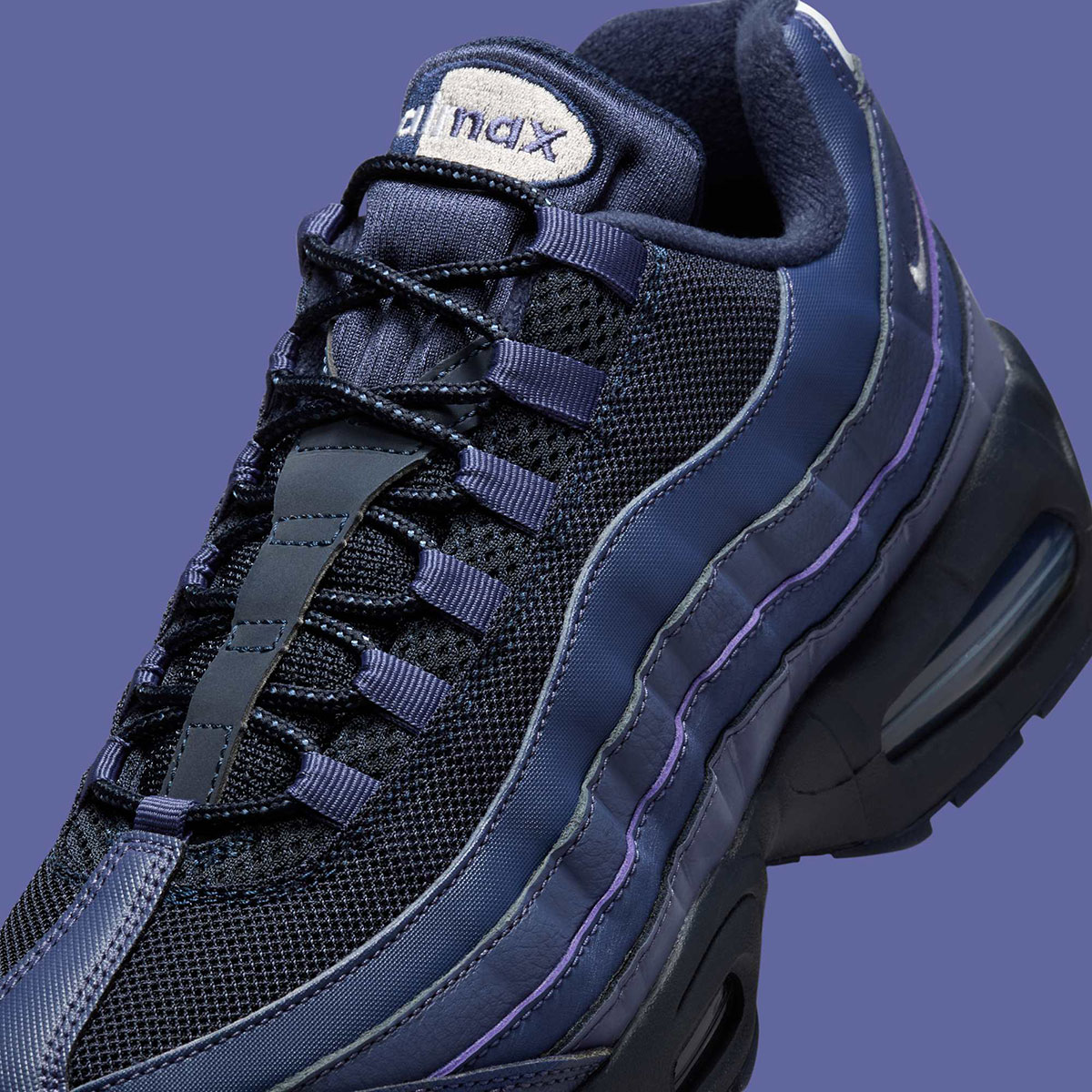 Nike Air Max 95 Og Sanded Purple Ib1667 500 4