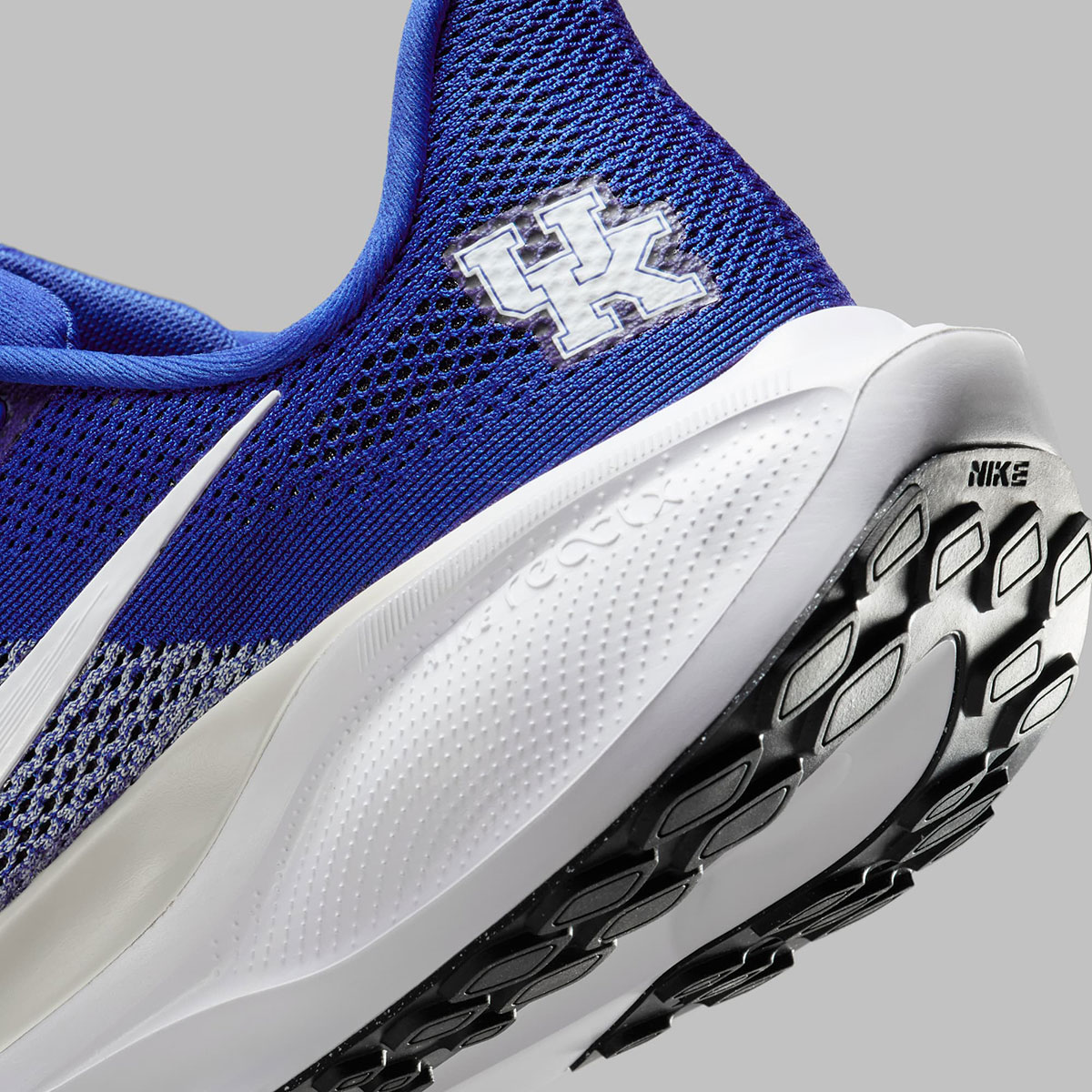 Nike Pegasus 41 Kentucky Wildcats Ib3266 400 1