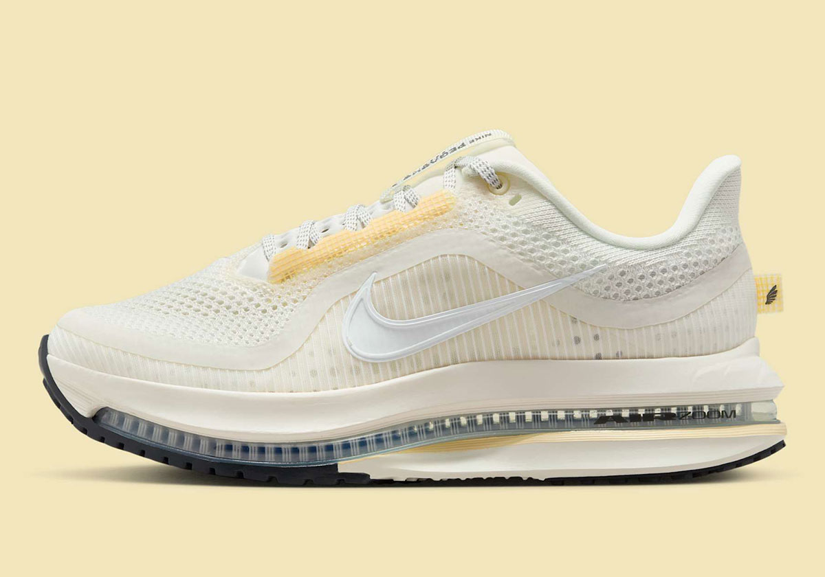 Nike Pegasus Premium Sail Alabaster Anthracite White Hq2593 104 6