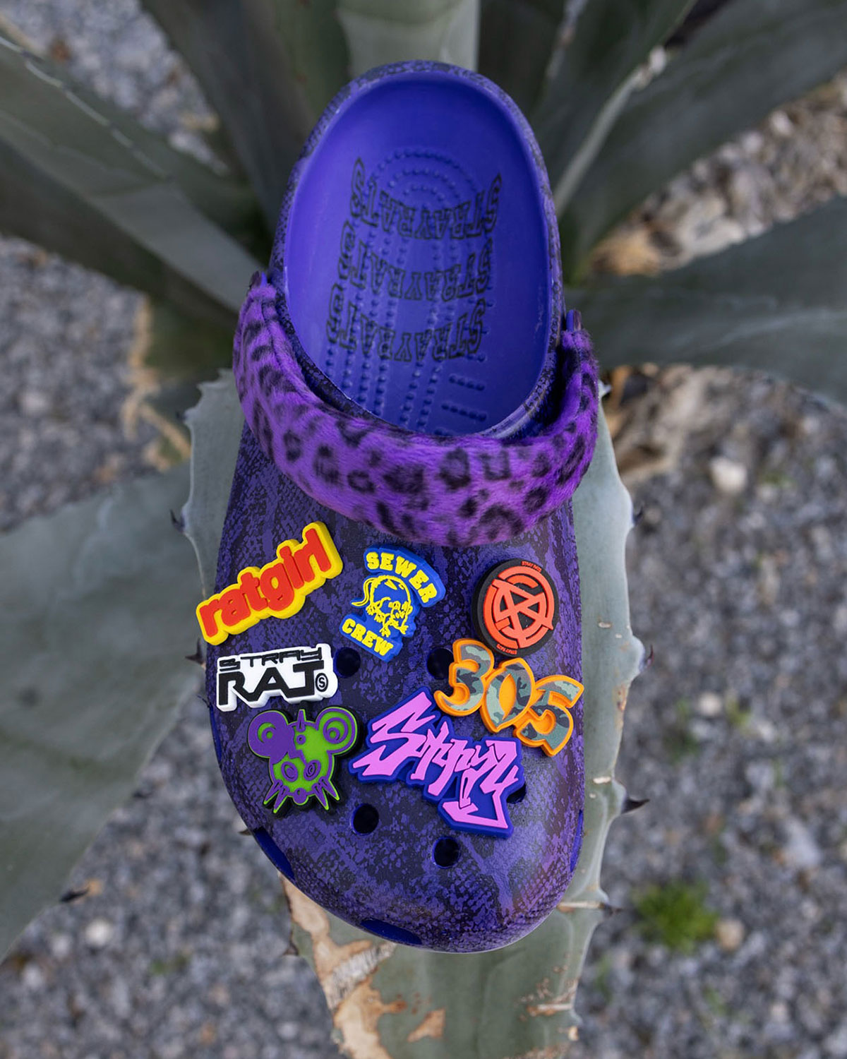 Stray Rats Crocs Classic Clog Purple 211083 506 1