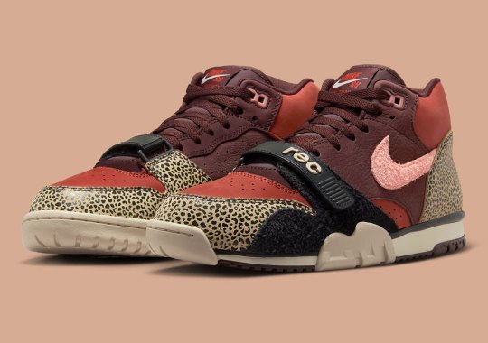Arts-Rec Ushers Back The Nike SB Air Trainer 1