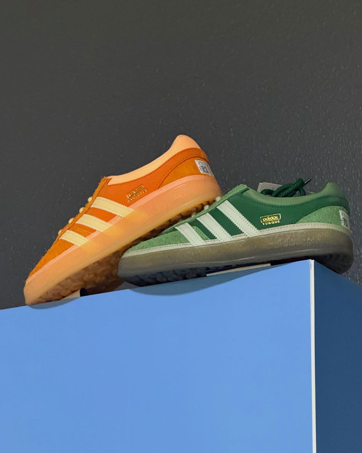Bad Bunny Gazelle Puerto Rico 4