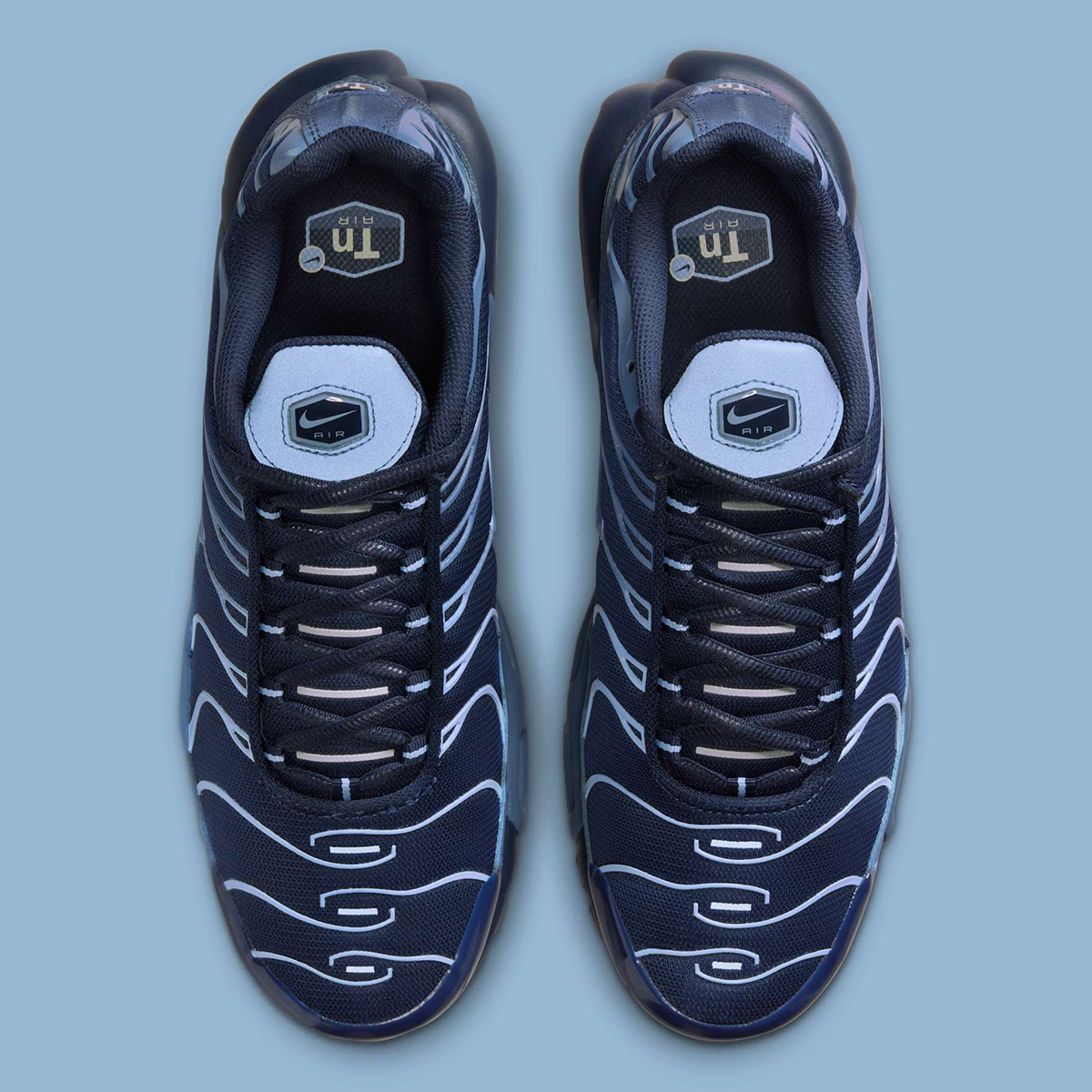 Nike Air Max Plus Obsidian Aluminum Diffused Blue Im6601 451 2